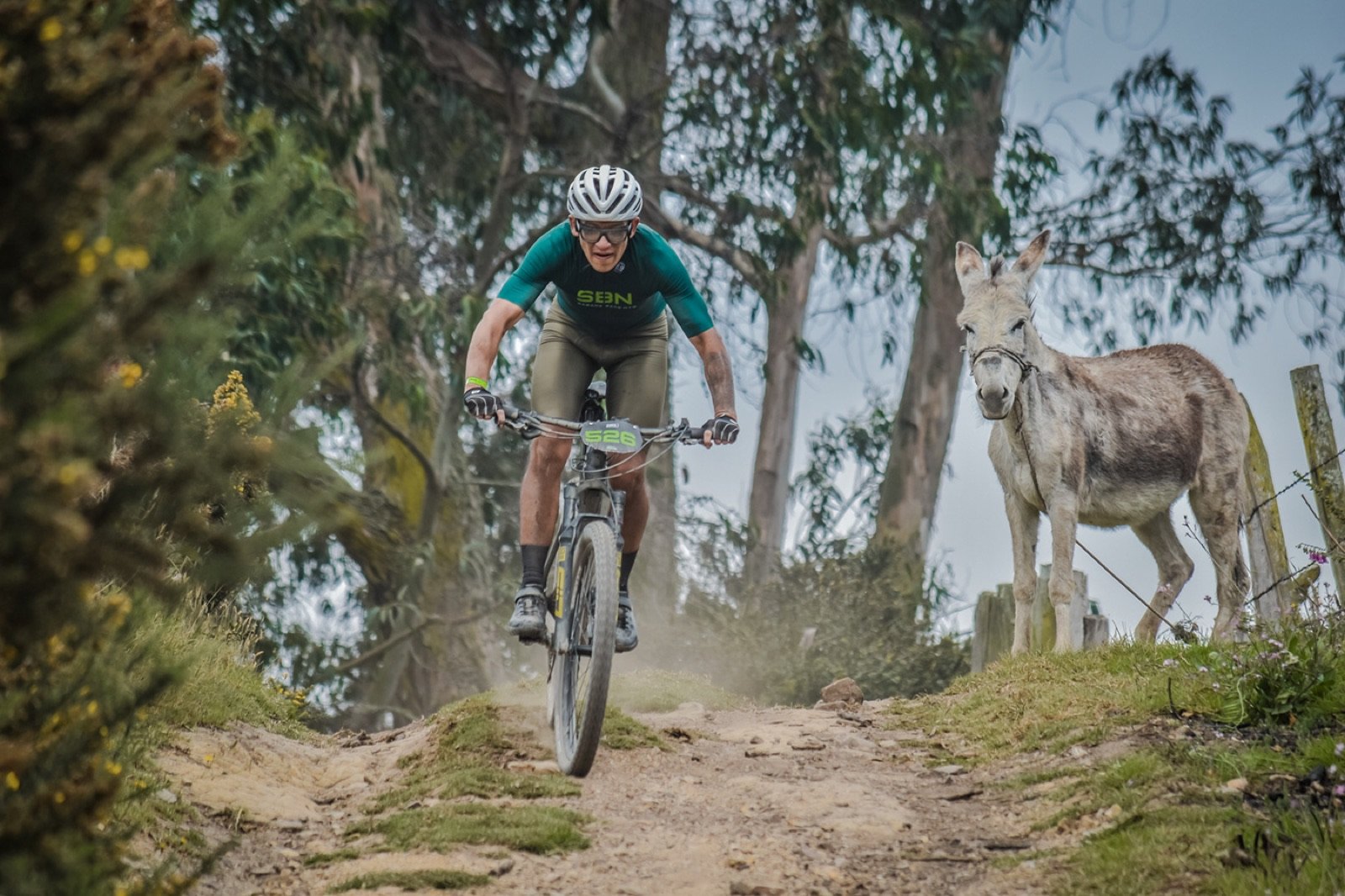 Ciclista de montaña bajando un camino junto a un burro